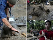 Georgia Flood