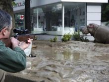 Georgia Flood