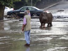 Georgia Flood