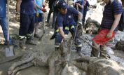 Georgia Flood