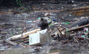 Georgia Flood