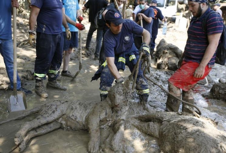 Georgia Flood