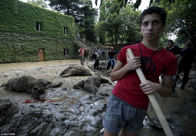 Georgia Flood