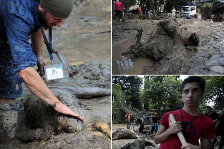 Georgia Flood