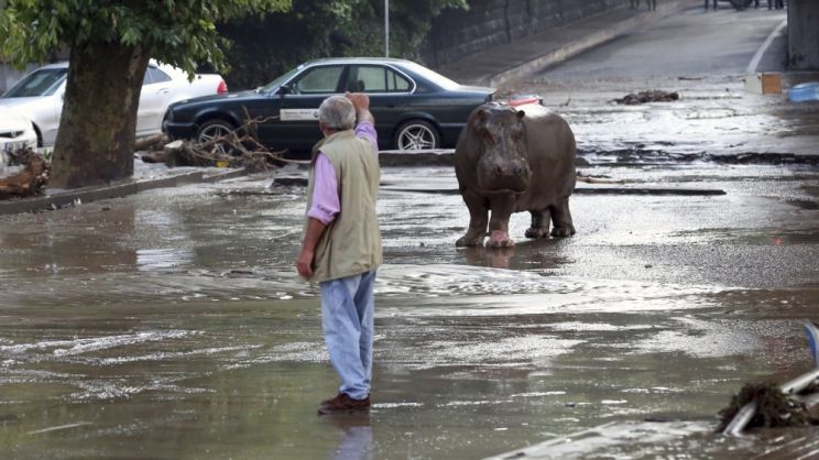 Georgia Flood