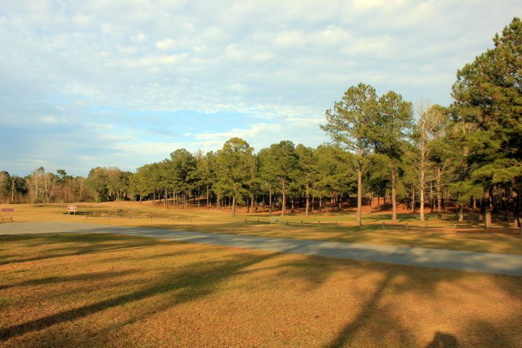Georgia Reed