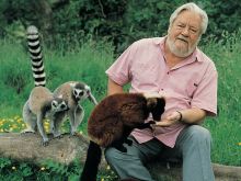 Gerald Durrell