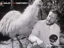 Gerald Durrell
