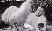 Gerald Durrell