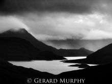 Gerard Murphy