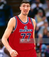 Gheorghe Muresan