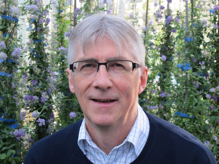 Gilles Bélanger