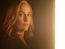 Gillian Anderson #28861 picture (Landscape Medium)