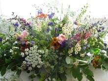 Gilly Flower