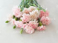 Gilly Flower