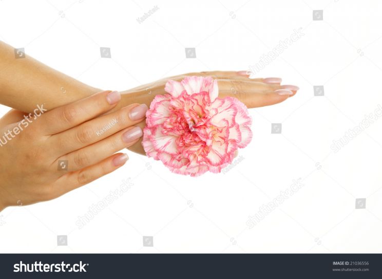 Gilly Flower