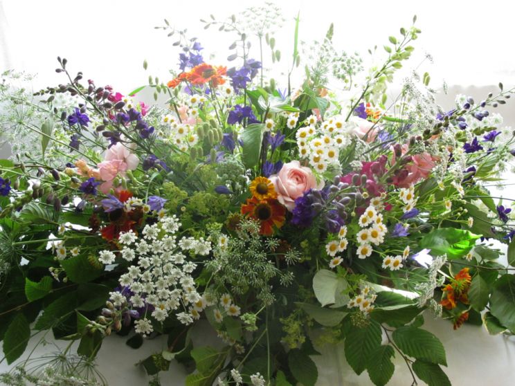 Gilly Flower