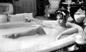 Gina Lollobrigida