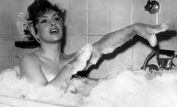 Gina Lollobrigida