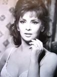 Gina Lollobrigida