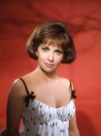 Gina Lollobrigida