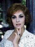 Gina Lollobrigida