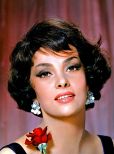 Gina Lollobrigida