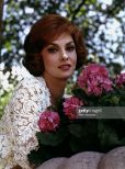 Gina Lollobrigida