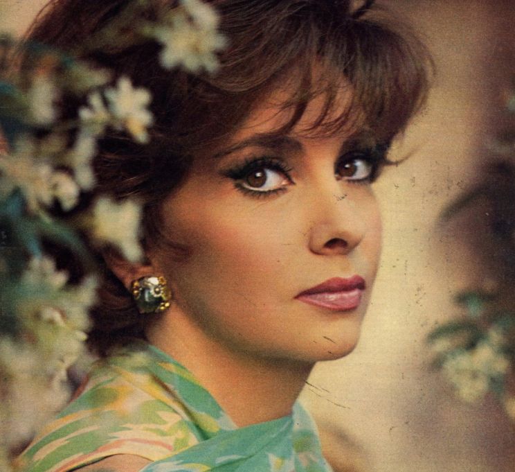 Gina Lollobrigida