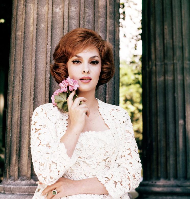 Gina Lollobrigida