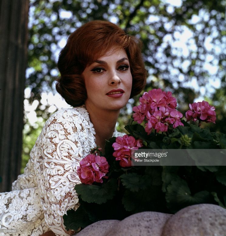 Gina Lollobrigida