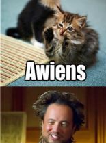 Giorgio Tsoukalos