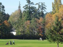 Glen Meadows