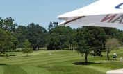 Glen Meadows