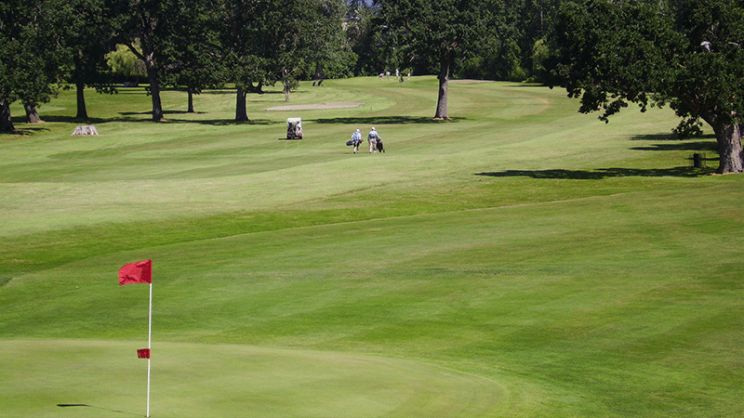Glen Meadows
