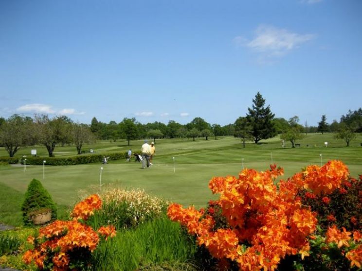 Glen Meadows