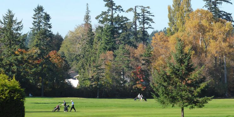 Glen Meadows