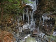 Glen Winter