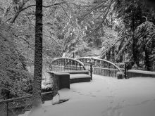 Glen Winter