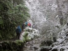 Glen Winter