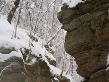 Glen Winter