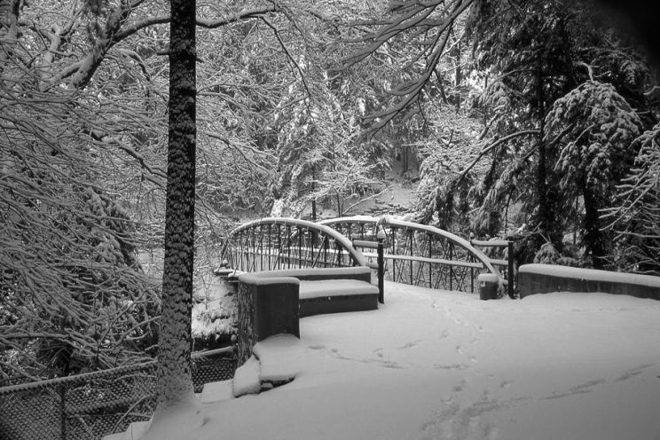 Glen Winter