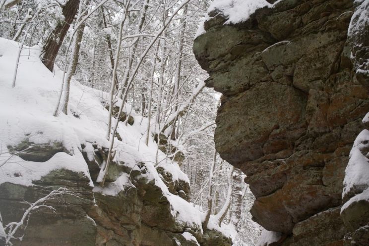 Glen Winter
