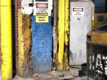 Glenn Fitzgerald #474430 picture (Landscape Medium)