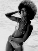 Gloria Henry #909652 picture (Portrait Medium)