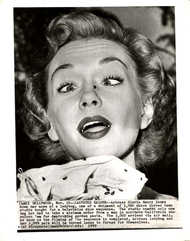 Gloria Henry