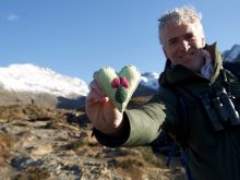 Gordon Buchanan