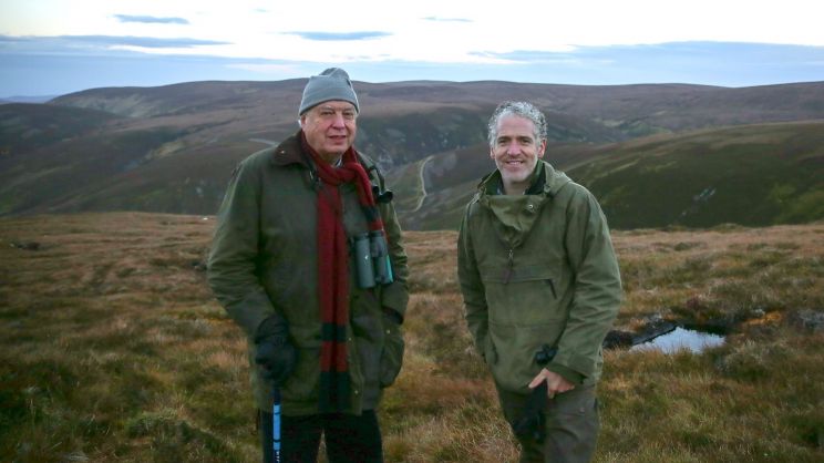 Gordon Buchanan