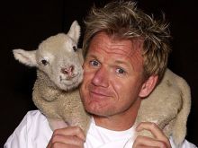 Gordon Ramsay