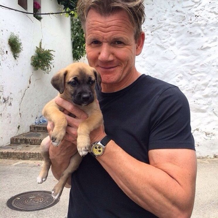 Gordon Ramsay